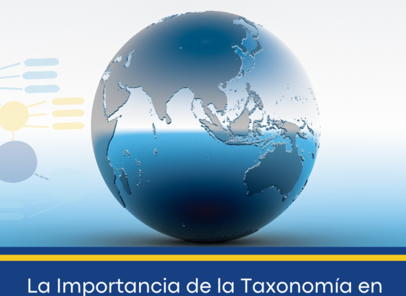 Blog Internacionalista